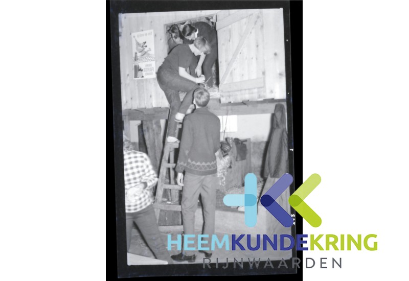 afbeelding_55